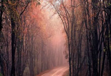 东升国际官网:2025年长沙市青少年击剑公开赛举行.