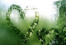 李可:足协及扬科维奇决定把我雪藏.