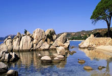 东升国际官网:19岁泰拳小霸王不听裁判劝阻,白近斌临门一脚,把他踢进抢救室.